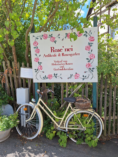 Comentarii opinii despre Rose'nei Antikcafé & Rosengarten - Ellen Mosert