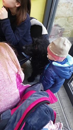 Comentarii opinii despre FAIRISTA (ehemals Samocca)