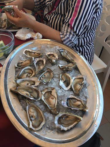 Comentarii opinii despre Vino e Cucina