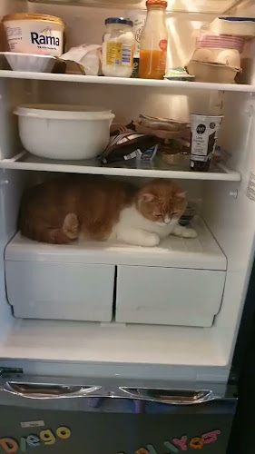 Comentarii opinii despre Ristorante Portofino