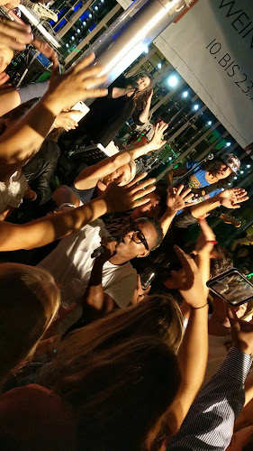 Comentarii opinii despre Weinstein, Restaurant im Weingut am Stein