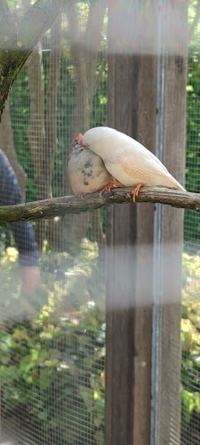 Opinii despre Palmenhaus-Café în Gütersloh - Gastronomie und Hotellerie