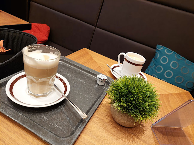 Merzenich in Bonn - Bonn