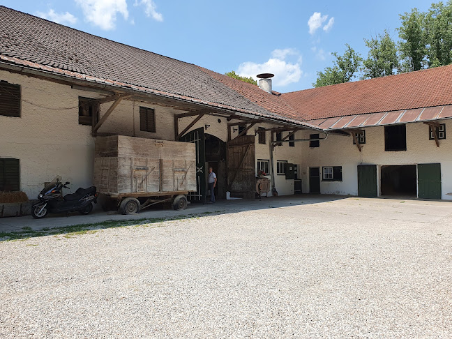 Comentarii opinii despre Anton Breiteneicher