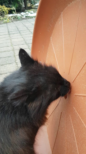 Gaststätte Am Stadion