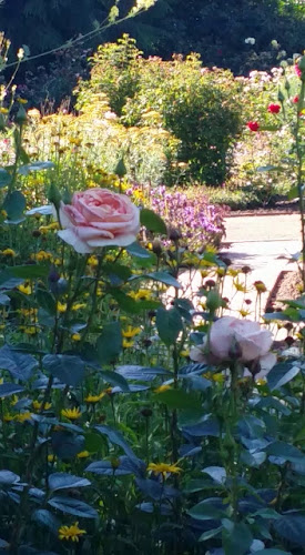 Bäckerei-Konditorei A. Rullof GmbH