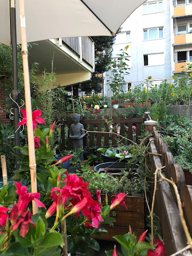 Comentarii opinii despre China-Town