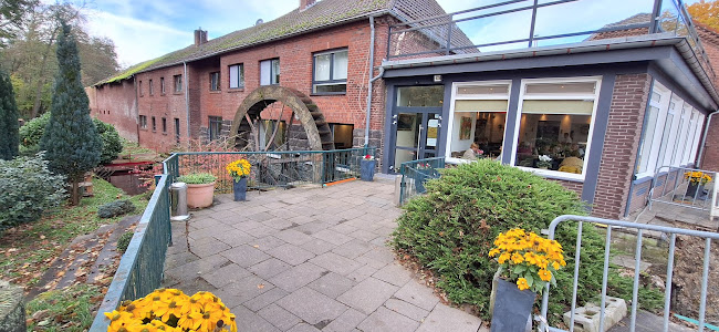 Comentarii opinii despre Holtmühle Café am See