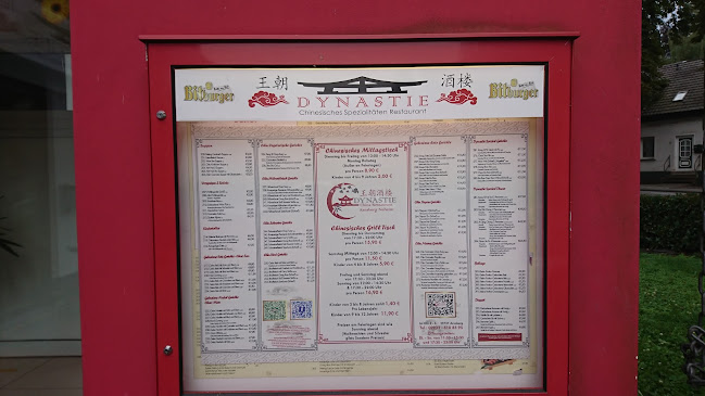Dynastie China Restaurant - Arnsberg