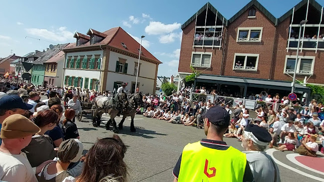 Comentarii opinii despre Stadthaus Bretten
