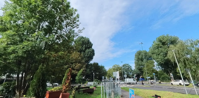 Opinii despre Pizzeria Il Disperato în Düsseldorf - Gastronomie und Hotellerie