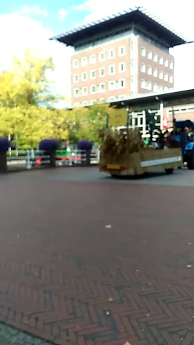 Opinii despre Altes Gasthaus Kuhr - Hotel & Restaurant în Papenburg - Gastronomie und Hotellerie