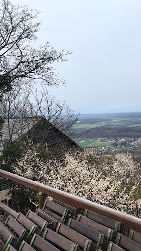 Comentarii opinii despre Gasthaus auf dem Oelberg