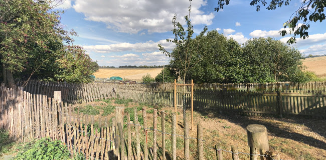 Opinii despre Bauernhofcafé Thing-Hof în Möhnesee - Gastronomie und Hotellerie