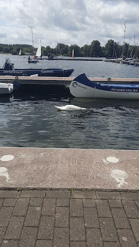 Comentarii opinii despre Se[h]restaurant am Bootshafen