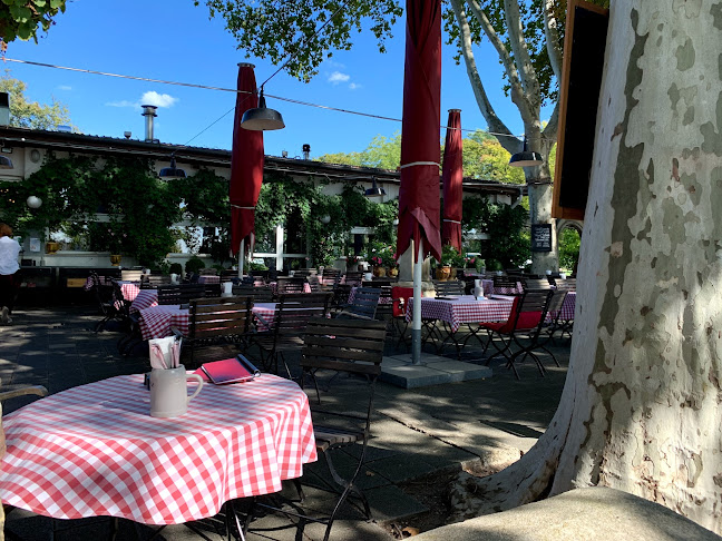 Opinii despre Rheinterrassen Gasthaus am Fluss în Mannheim - Gastronomie und Hotellerie