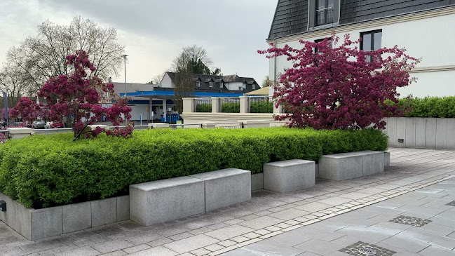 Opinii despre Backhaus Schröer - Fachgeschäft Matheus-Müller-Platz în Eltville am Rhein - Gastronomie und Hotellerie