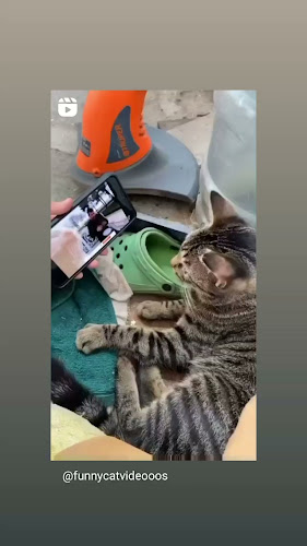 Eiscafé Del Longo - Gastronomie und Hotellerie