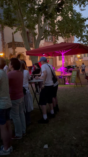 Comentarii opinii despre Bedouin