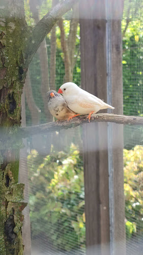 Palmenhaus-Café - Gastronomie und Hotellerie