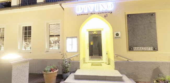 Divino Restaurant & Catering GmbH - Gastronomie und Hotellerie