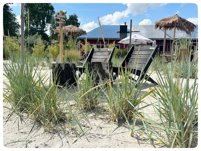 Comentarii opinii despre Tonne 98