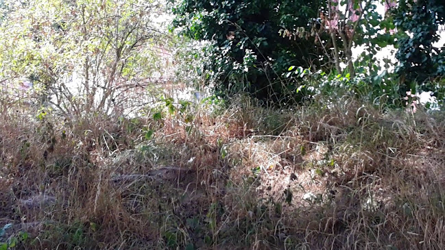 Krone Alt-Hoheneck - Das Gasthaus mit Festsaal am Neckar - Ludwigsburg