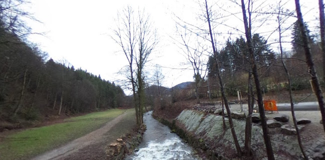 Opinii despre Geroldsauer Mühle în Baden-Baden - Gastronomie und Hotellerie