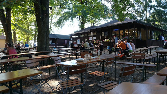 Kunigundenberg 3, 91207 Lauf an der Pegnitz