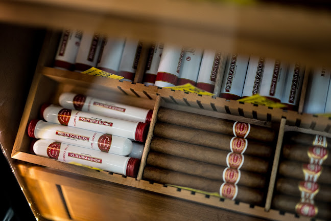 Gerhardstraße 12, 53229 Bonn