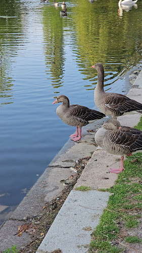 Café Siebenbergen - Gastronomie und Hotellerie
