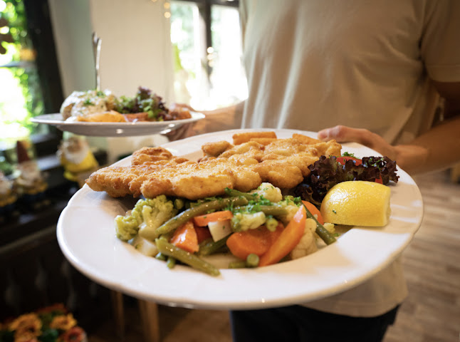 Opinii despre Panoramarestaurant Carlsburg în Falkenberg - Gastronomie und Hotellerie