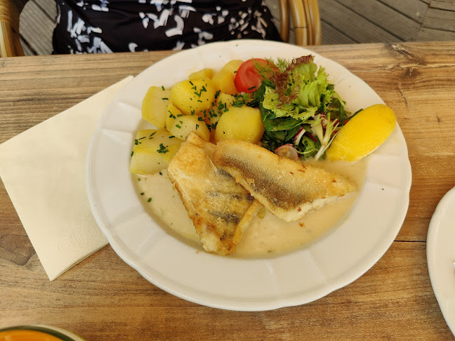 Opinii despre Panoramarestaurant Carlsburg în Falkenberg - Gastronomie und Hotellerie