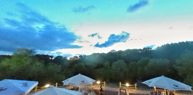 Opinii despre Roter Milan în Halle (Saale) - Gastronomie und Hotellerie