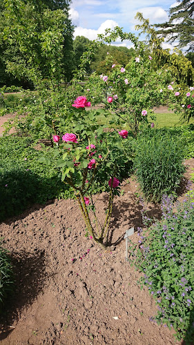 Rosengarten, Rosengartenstraße 50, 66482 Zweibrücken