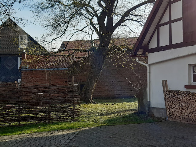 Comentarii opinii despre Gartencafé Brunsen