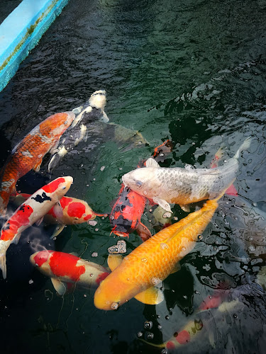 Wißfeldstraße 62, 53340 Meckenheim