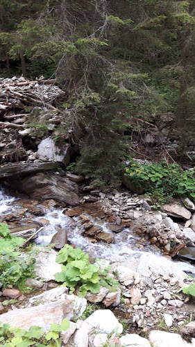 Comentarii opinii despre Buffalo Grill