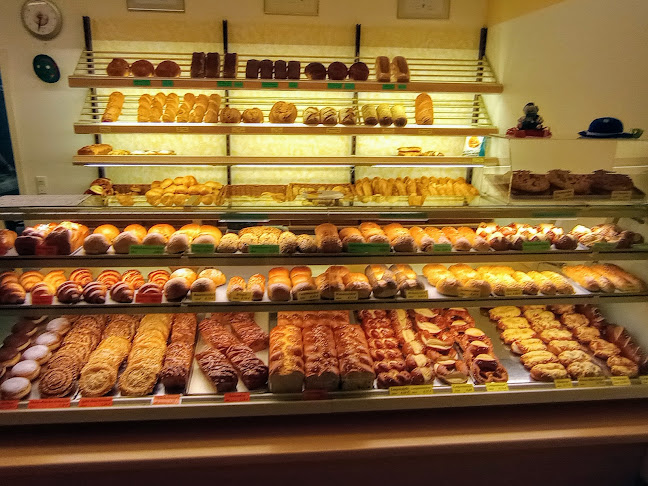 Opinii despre Bäckerei Albert Traub Bergatreute în Bergatreute - Gastronomie und Hotellerie