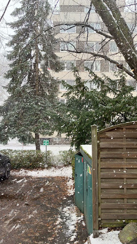 Comentarii opinii despre Restaurant Minas