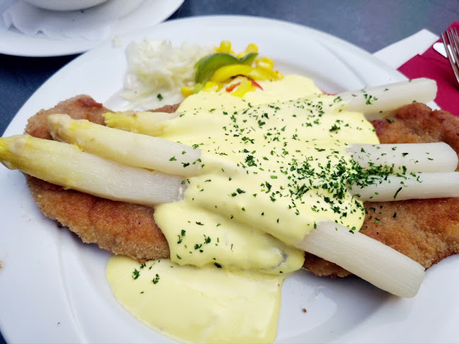 Opinii despre Hotel Meier | Restaurant | Partyservice | Getränkeservice în Belm - Gastronomie und Hotellerie