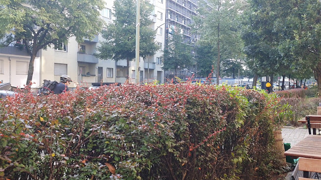 Cafe Mediterrane - Berlin