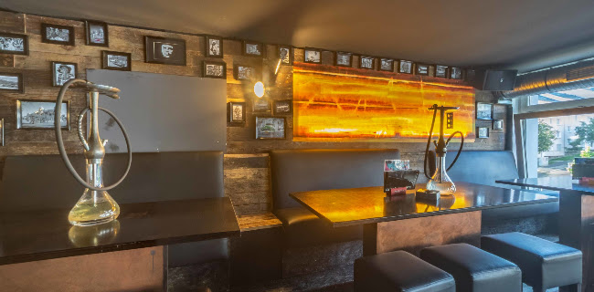 Papagayoo - Bar/Lounge/Club Kassel - Gastronomie und Hotellerie