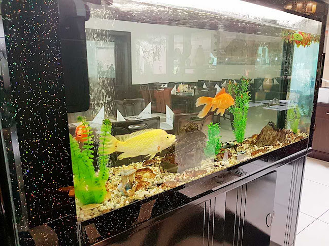 Dynastie China Restaurant - Gastronomie und Hotellerie