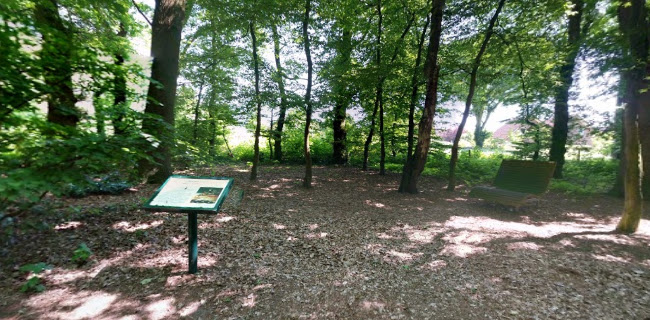 Opinii despre Kurhaus Dangast în Varel - Gastronomie und Hotellerie