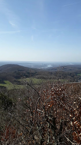 Oelbergringweg 100, 53639 Königswinter