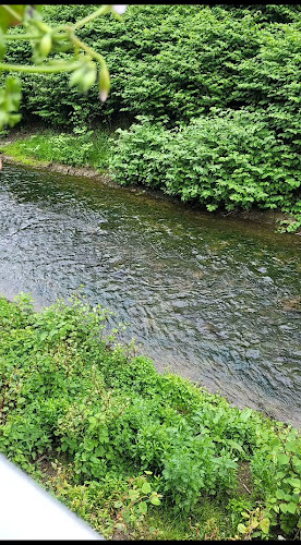 Opinii despre "Fisch - Heinrich" Heiko Heinrich în Meißen - Gastronomie und Hotellerie