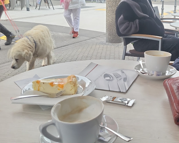 Altstadtcafé - Gastronomie und Hotellerie