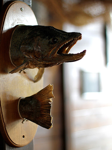 Opinii despre Restaurant "Captain Hook" în Dresden - Gastronomie und Hotellerie