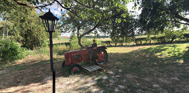 Bauernhofcafé Thing-Hof - Gastronomie und Hotellerie
